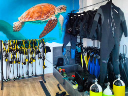 Squatina Sub - San Andrés