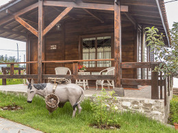 Restaurante Paso del Teide - La Orotava