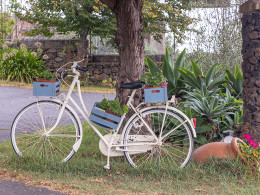 Restaurante Paso del Teide - La Orotava