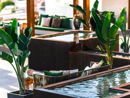 Ohasis - Los Cristianos