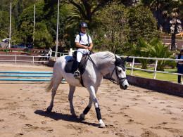 Club Hípico Nueva Atalaya - La Laguna