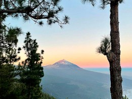 Monte Frío - Los Realejos