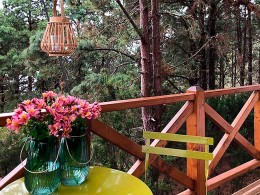 Monte Frío - Los Realejos