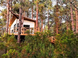 Monte Frío - Los Realejos