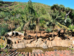 El Monasterio - Los Realejos