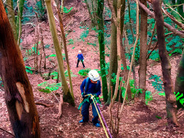 8 Mosquetones Adventure - Santa Cruz