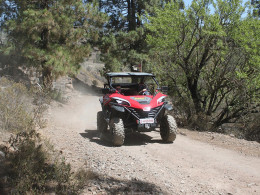 Top Buggy Adventure - Costa Adeje