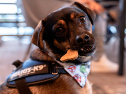 El Café de Manuela - Ravelo