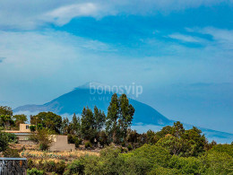 El Café de Manuela - Ravelo