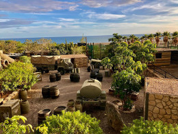 Hangar 37- San Bartolomé de Tirajana