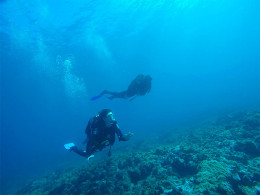 La Morena Diving Tenerife - Las Galletas 