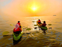 Adventure Time - Palm-Mar