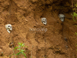 Guarida del Pirata - Los Realejos