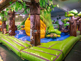 Dream Forest - Santa Cruz