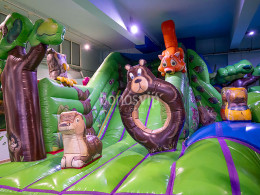 Dream Forest - Santa Cruz