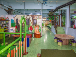 Dream Forest - Santa Cruz