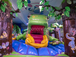 Dream Forest - Santa Cruz