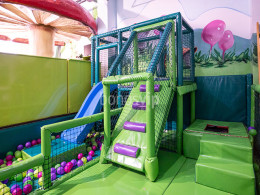 Dream Forest - Santa Cruz