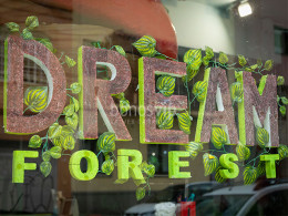 Dream Forest - Santa Cruz