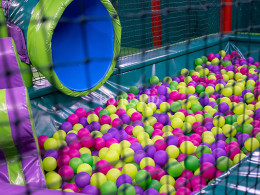 Dream Forest - Santa Cruz