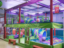 Dream Forest - Santa Cruz