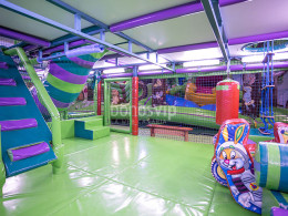 Dream Forest - Santa Cruz