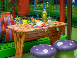 Dream Forest - Santa Cruz