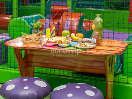 Dream Forest - Santa Cruz