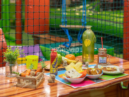 Dream Forest - Santa Cruz