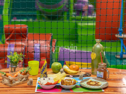 Dream Forest - Santa Cruz