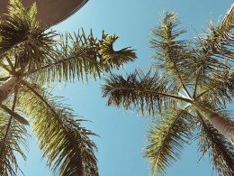 Bohemia Suites & Spa - Playa del Inglés