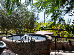 Bodegas Reverón - Vilaflor