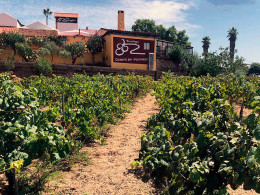Bodegas Reverón - Vilaflor