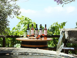 Bodegas Reverón - Vilaflor