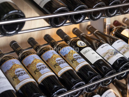 La Forêt - Santa Cruz