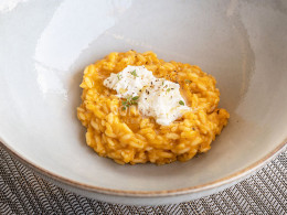 La Forêt - Santa Cruz