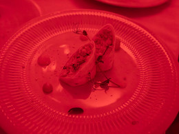 Scandal Dinner Show - Costa Adeje