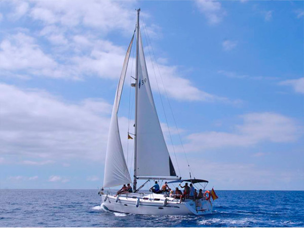 Navegación de 3 horas en velero con brunch + avistamiento de cetáceos
