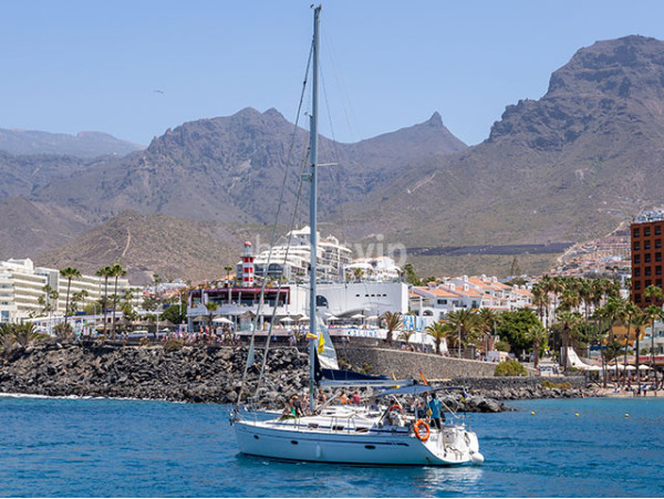 Brunch en Velero con 3 horas de navegación y avistamiento de cetáceos