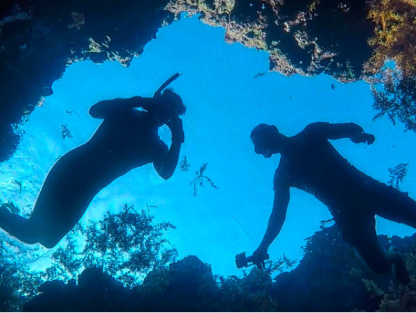 Snorkel con reportaje fotográfico ¡Una aventura submarina! 