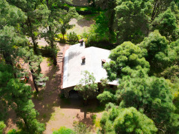 Monte Frío - Los Realejos