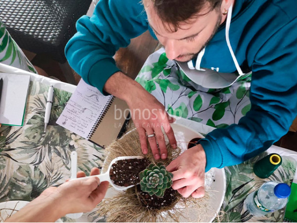 Taller Kokedama con picoteo en Hotel Aguere ¡Crea tu propia maceta con la técnica japonesa!