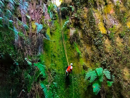 8 Mosquetones Adventure - Santa Cruz