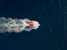 3 Horas de navegación privada Luxury con productos Gourmet y avistamiento de cetáceos