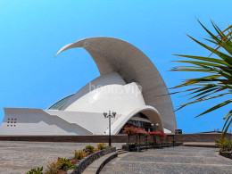 Painting Session - Santa Cruz de Tenerife