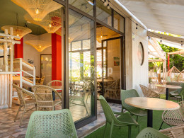 Rikarepa - Puerto de la Cruz 