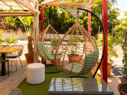 Rikarepa - Puerto de la Cruz 