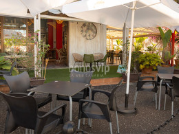 Rikarepa - Puerto de la Cruz 