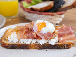 Rikarepa - Puerto de la Cruz 