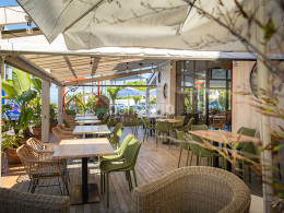 Rikarepa - Puerto de la Cruz 